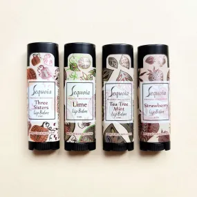 Lip Balm Bundle