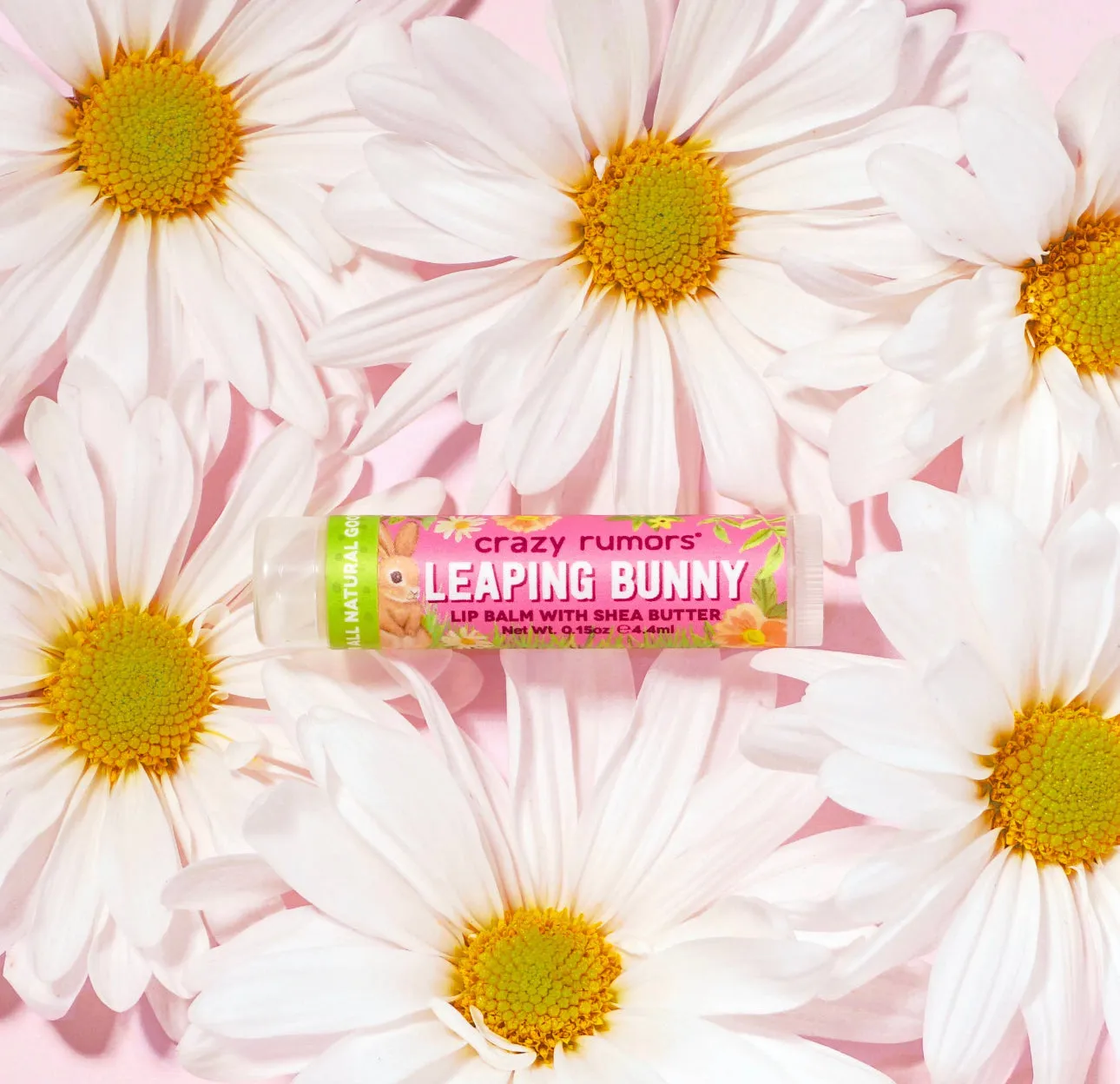 Vegan LIP BALMS - Many Flavors!